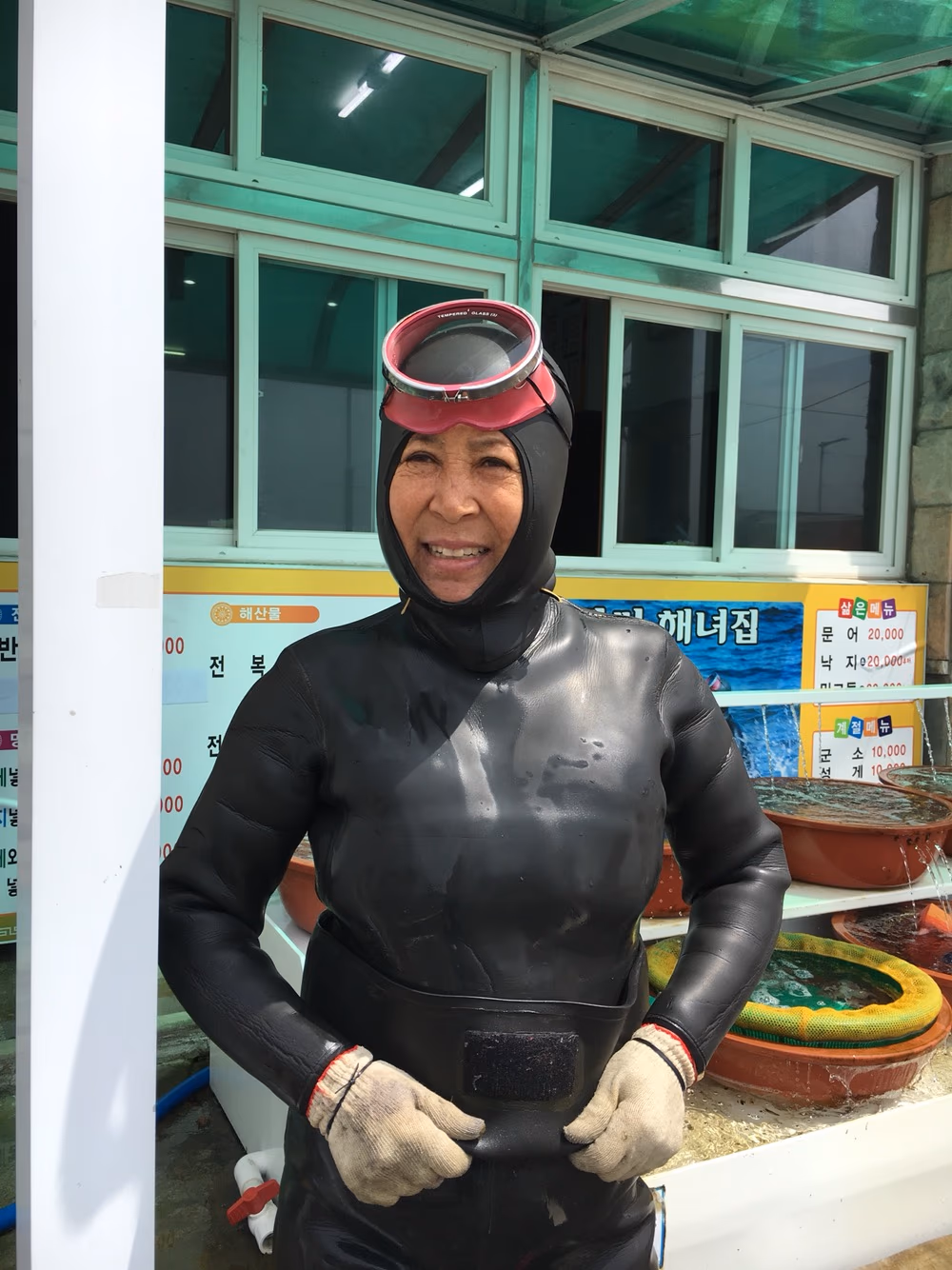새벽 채취, 당일 제공
